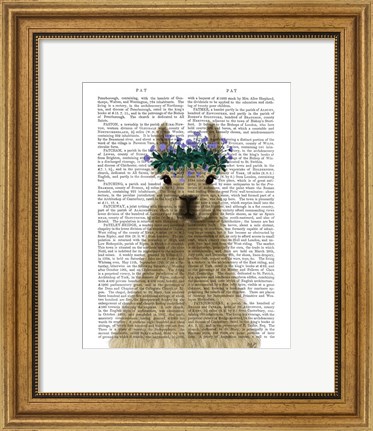 Framed Llama Bohemian 1 Book Print Print