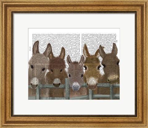 Framed Donkey Herd at Fence Book Print Print