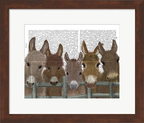 Framed Donkey Herd at Fence Book Print Print