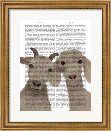 Framed Goat Duo, Looking at You Book Print Print