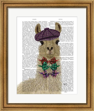 Framed Llama Dapper Book Print Print