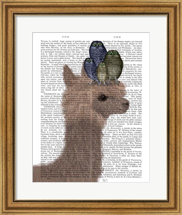 Framed Llama Owls, Portrait Book Print Print