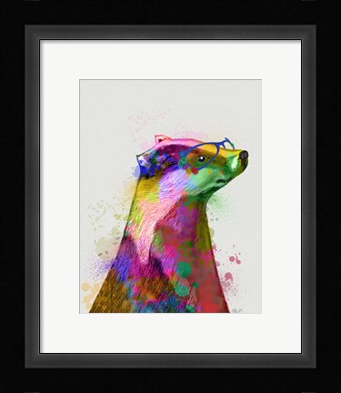 Framed Badger Rainbow Splash 2 Print