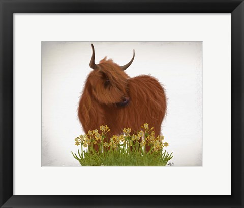 Framed Highland Cow, Daffodil Print