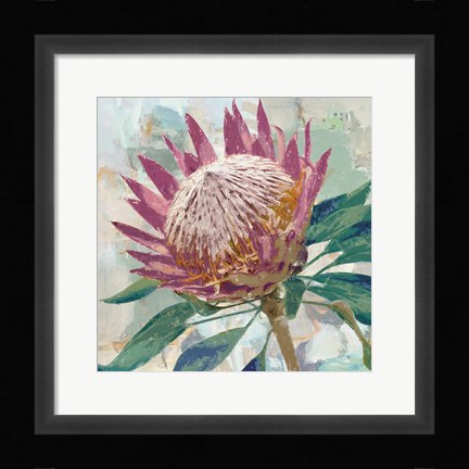 Framed Protea King Print
