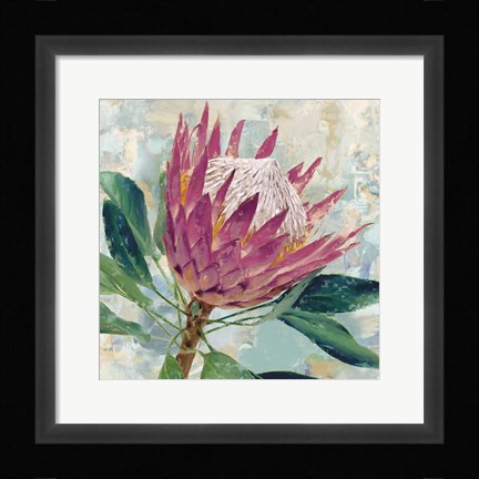 Framed Protea Majestic Print
