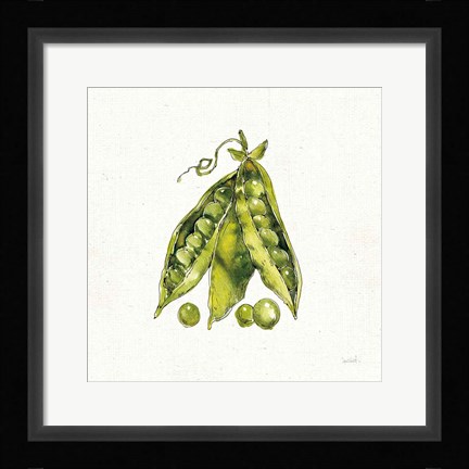 Framed Veggie Market IV Peas Print