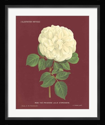 Framed Yellow Rose Pomegranate Print