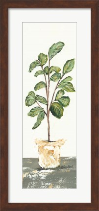 Framed Fig Tree Print
