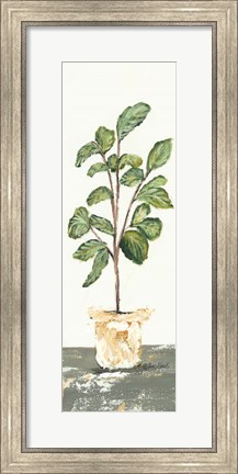Framed Fig Tree Print