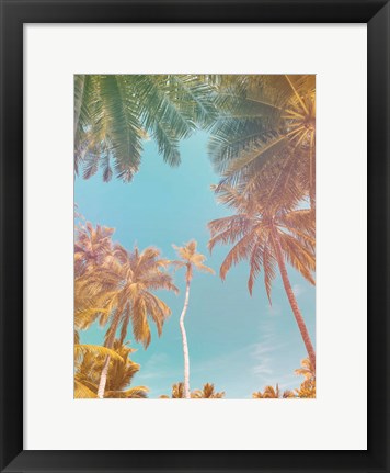 Framed Palms in Paradise Print