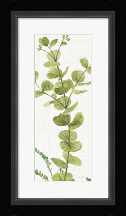 Framed Mixed Greens LX v2 Print