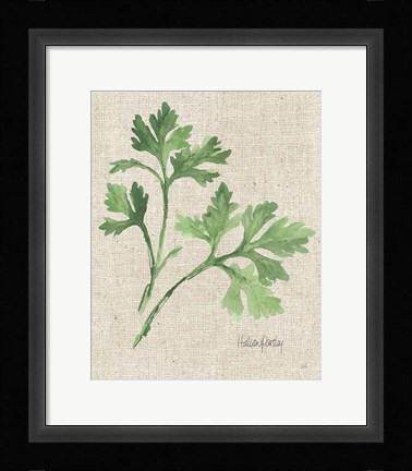 Framed Italian Parsley v2 on Burlap Print
