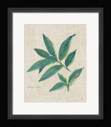 Framed Bay Leaf on Burlap Print