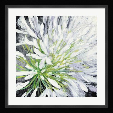 Framed Cleome Splash II Black Print