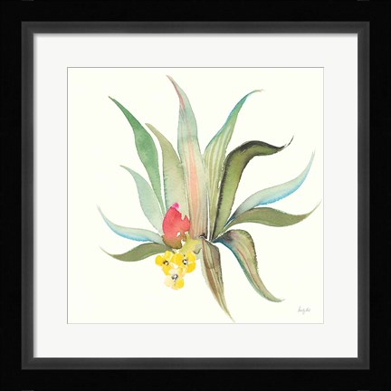 Framed Succulent Desert V Print