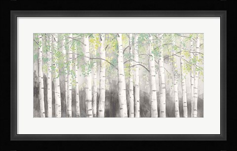 Framed Soft Birches Charcoal Print