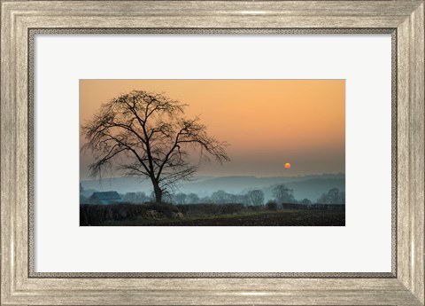 Framed Morning Sun Print