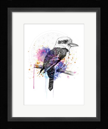Framed Kookaburra Print