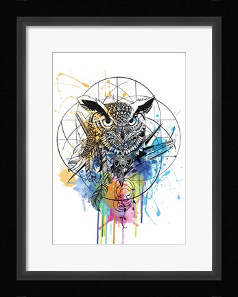 Framed Owl Print