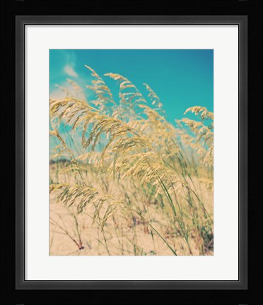 Framed Sea Oats Print