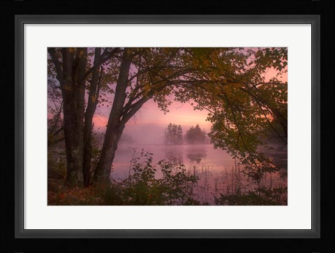 Framed Framed Print