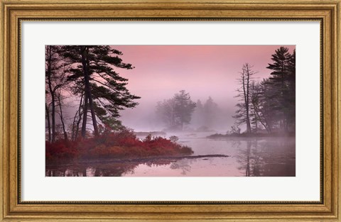Framed Pink Fog Print