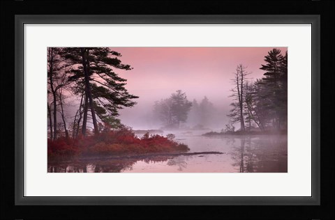 Framed Pink Fog Print