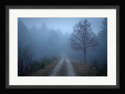 Framed Spring Fog Print