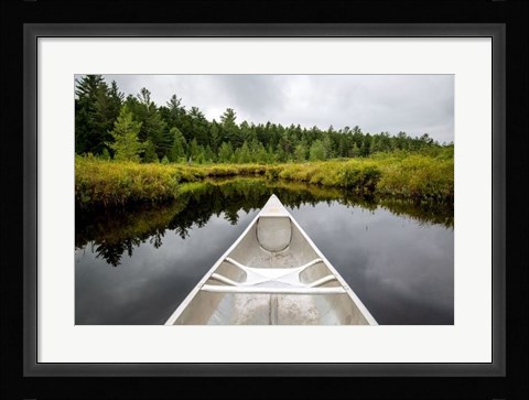 Framed Lily Pond Print
