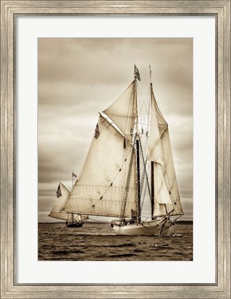 Framed Racing Downwind Wing-on-Wing Print