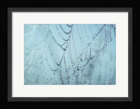 Framed Nature's Jewels I Print