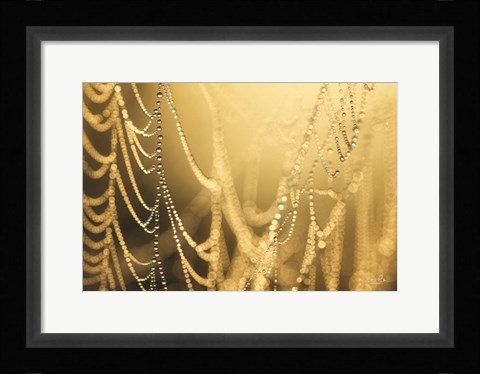 Framed Nature's Jewels II Print