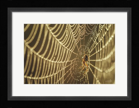 Framed Spider and Her Jewels Print