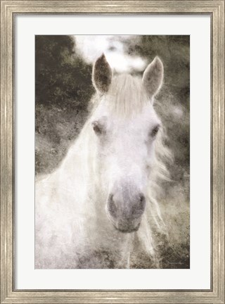 Framed White Horse Mystique Print