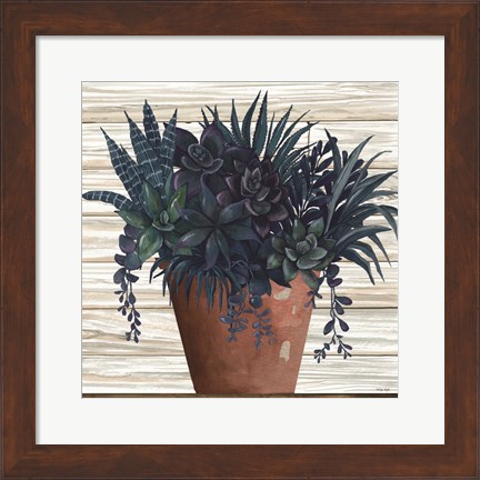 Framed Remarkable Succulents II Print