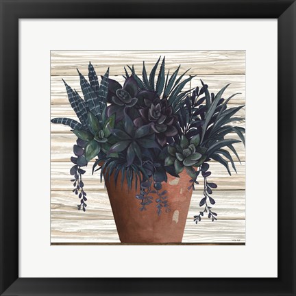 Framed Remarkable Succulents II Print