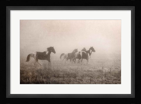 Framed Paint Horses on the Run Print