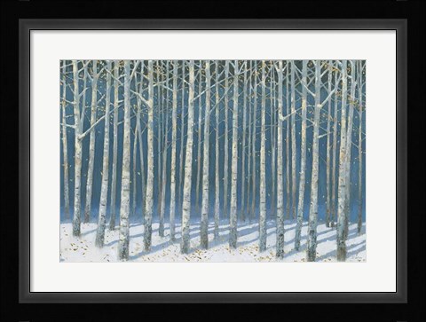 Framed Shimmering Birches Print