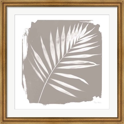 Framed Nature By The Lake - Frond II Sq Print