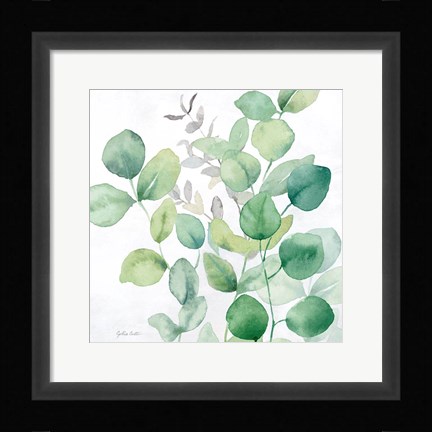 Framed Eucalyptus Leaves I Print