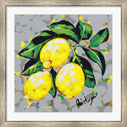 Framed Fruit Sketch Lemons Print
