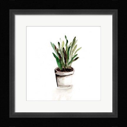 Framed Potted Botanicals III Print