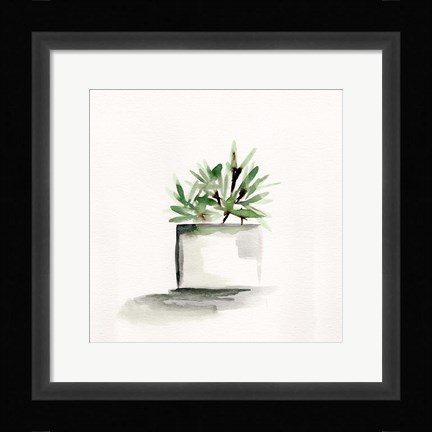 Framed Potted Botanicals IV Print