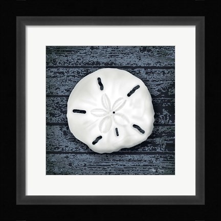 Framed Seashore Shells Navy II Print