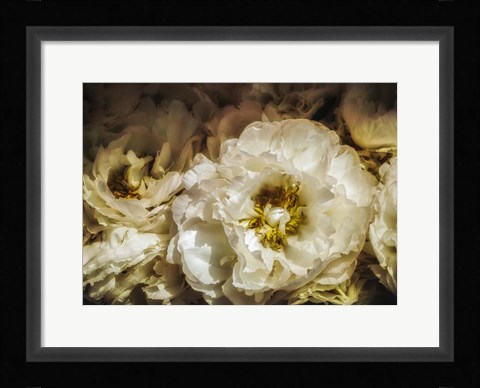 Framed White Flowers Print