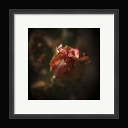 Framed Delicate Print