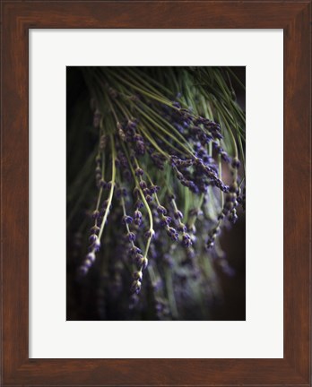 Framed Purple Buds Print