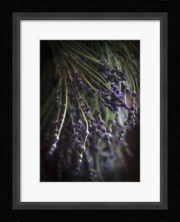 Framed Purple Buds Print