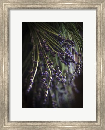 Framed Purple Buds Print